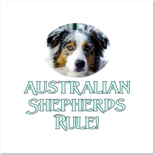 Australian Shepherds Rule! Posters and Art